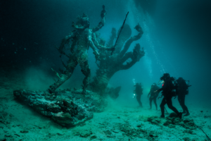 hydra_and_kali_discovered_by_four_divers