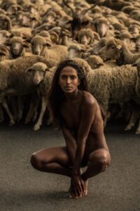 6_greg-gorman_nirmala-sheep_provence-2017